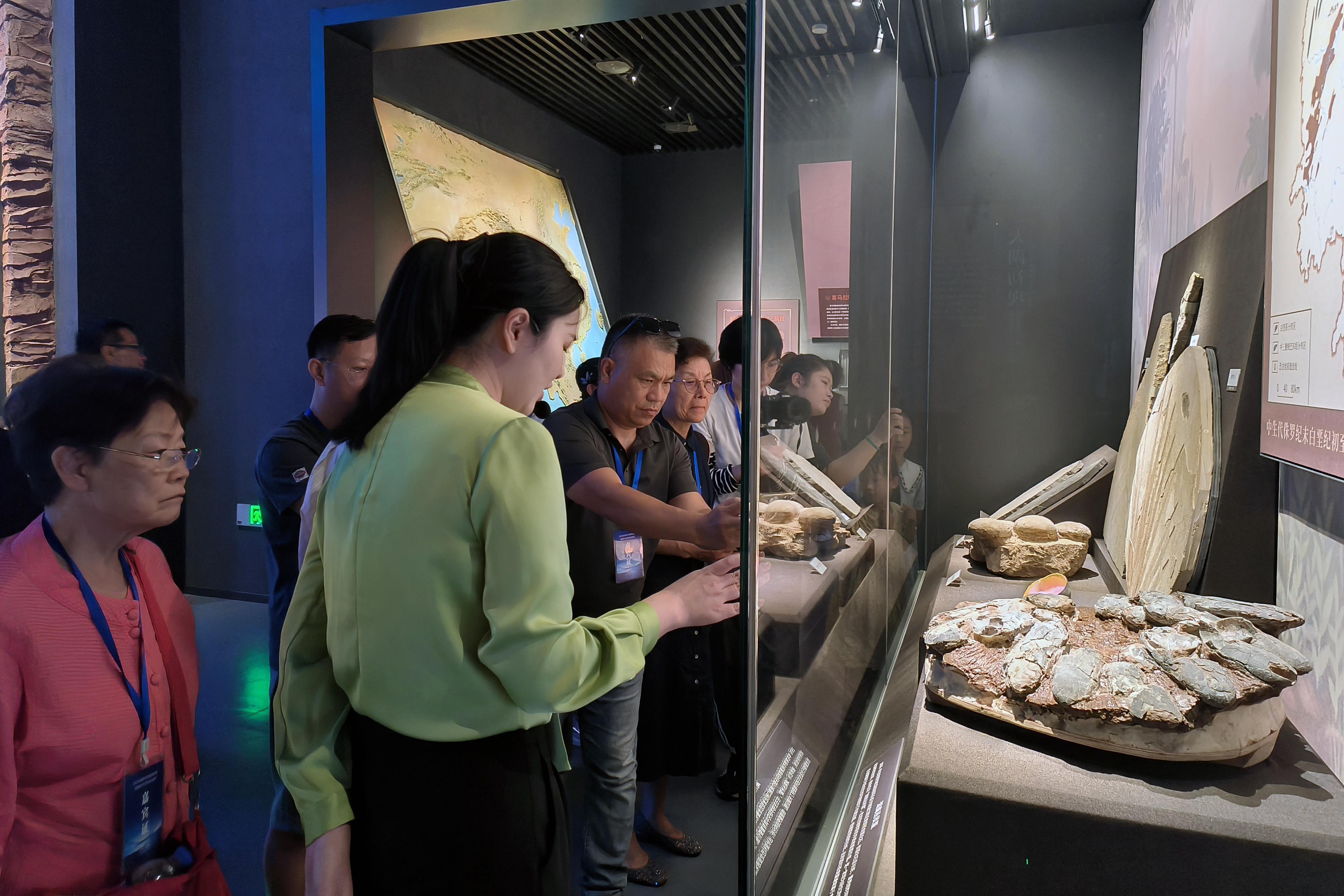 走進洞庭湖博物館　華媒記者點讚「生態迪斯尼」