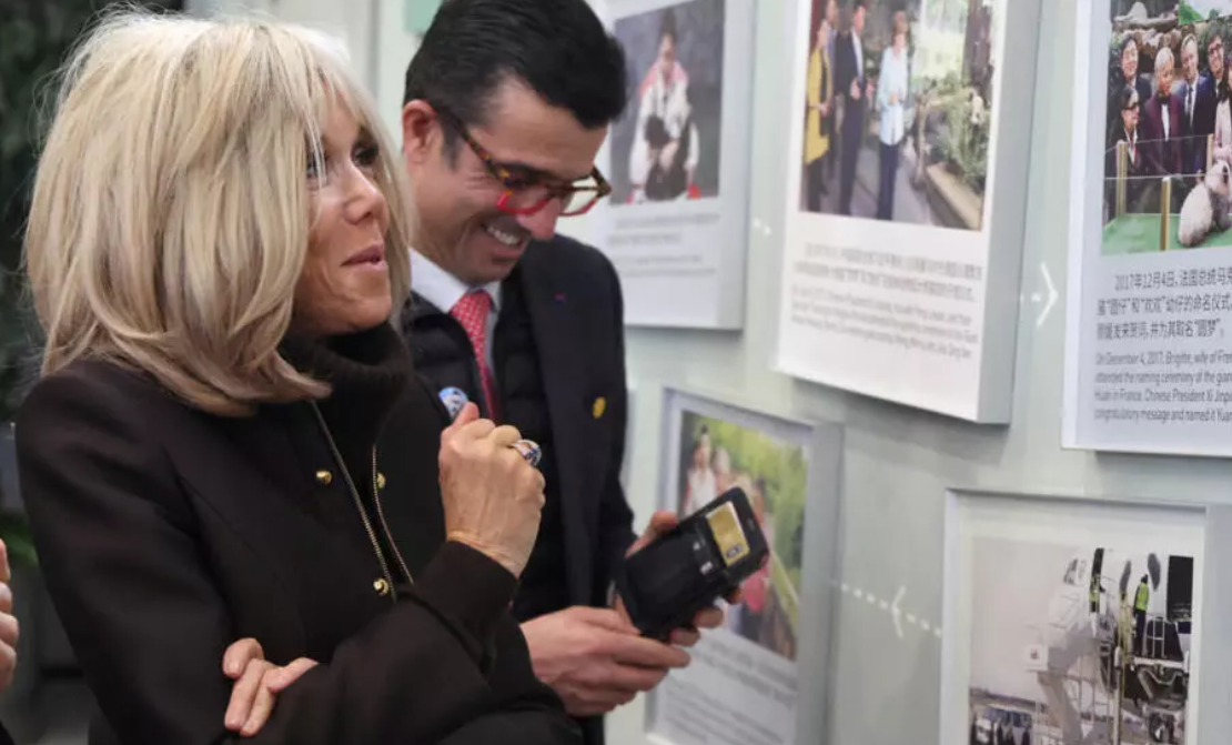 法国“圆梦”:新一对大熊猫计划于2027年来到法国