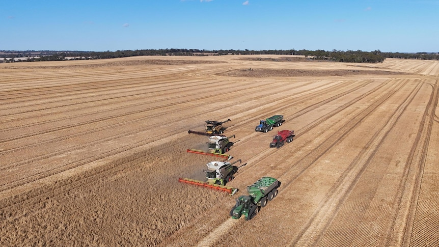 西澳种植户预计将迎来2700万吨的粮食丰收,打破2022年的纪录。